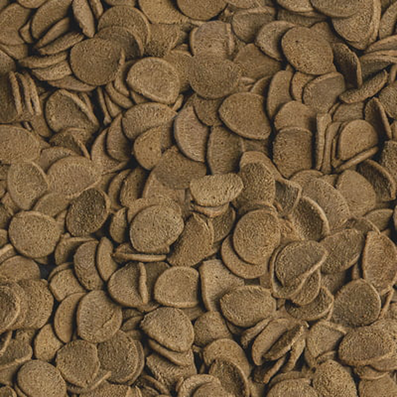 Sera vipachips wafers -&beta;&alpha;&sigma;&iota;&kappa;&eta; &tau;&rho;&omicron;&phi;&eta; &gamma;&iota;&alpha; &delta;&iota;&alpha;&kappa;&omicron;&sigma;&mu;&eta;&tau;&iota;&kappa;&alpha; &psi;&alpha;&rho;&iota;&alpha; 250ml-null