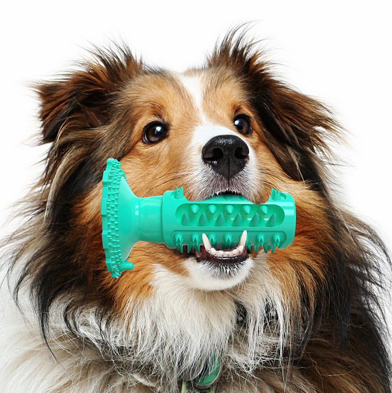 Pet cleaning teeth toy with sound - 5x5.5xh15cm-null