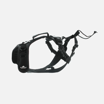 I-dog x raidlight - dog harness, , medium