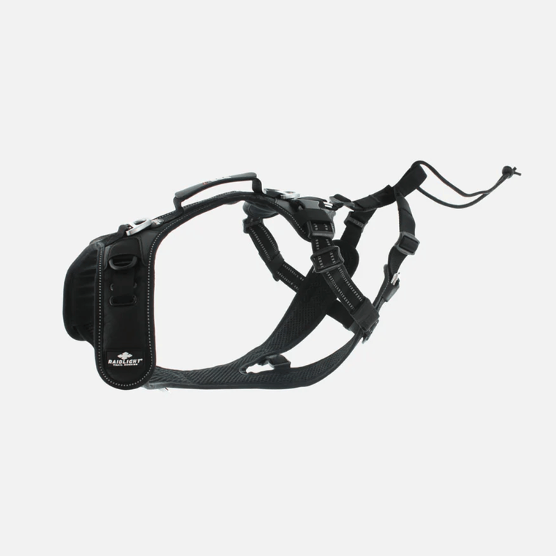 I-dog x raidlight - dog harness-null