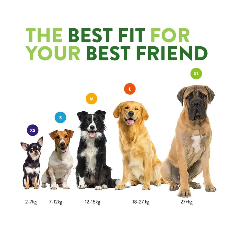 Whimzees toothbrush sticks-null