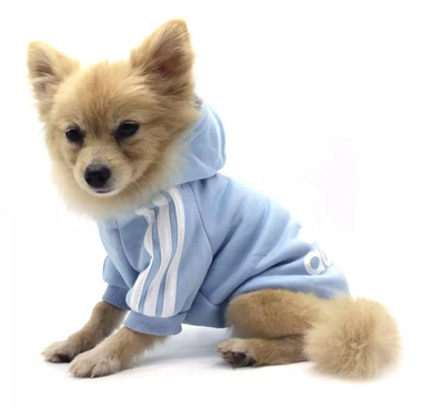 Adidog sport hoodie for dogs, , medium