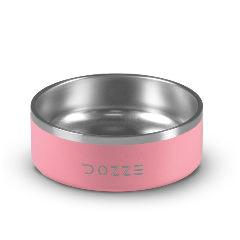 Dozze dog bowl-null