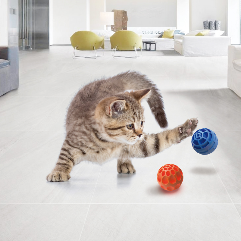 Georplast heavy plastic ball for pets - assorted colors, , medium-null