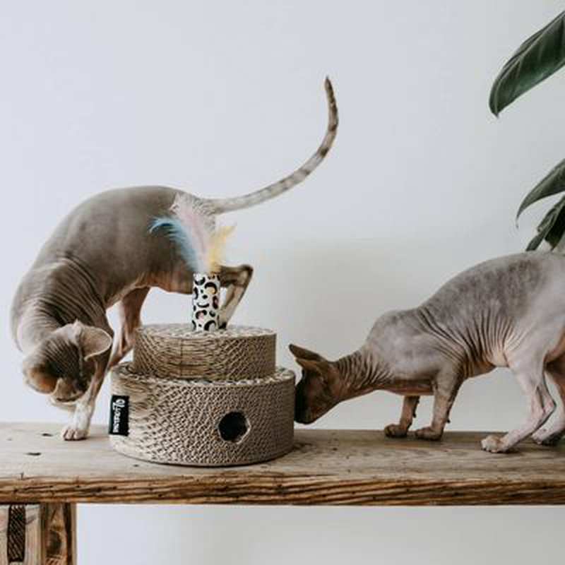 District 70 fiesta sprinkle cat toy cardboard multicolour, , medium-null