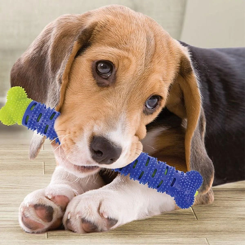 Chewbrush &omicron;&delta;&omicron;&nu;&tau;ό&beta;&omicron;&upsilon;&rho;&tau;&sigma;&alpha; &alpha;&upsilon;&tau;&omicron;&beta;&omicron;&upsilon;&rho;&tau;&sigma;ί&sigma;&mu;&alpha;&tau;&omicron;&sigmaf; &gamma;&iota;&alpha; &sigma;&kappa;ύ&lambda;&omicron;&upsilon;&sigmaf; 15784-26, , medium-null