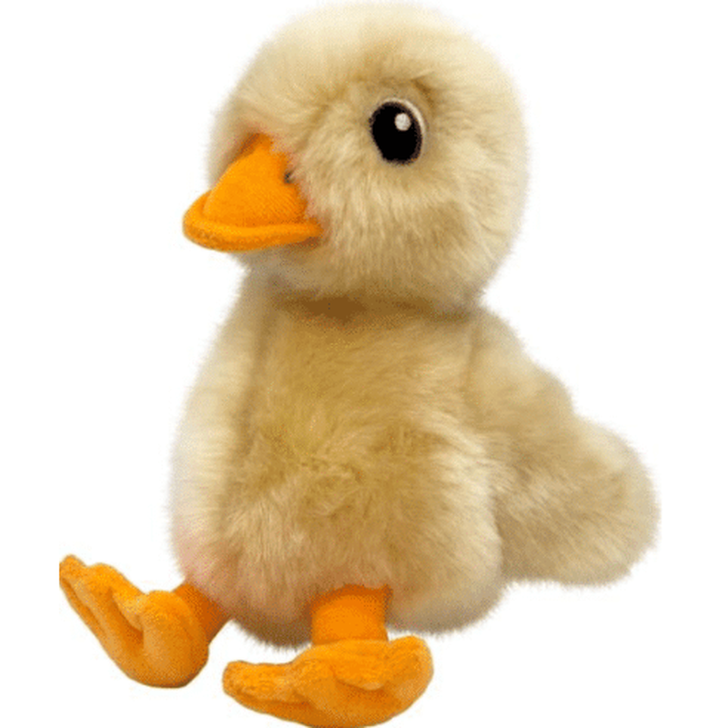 Kong touGHz duck medium-null