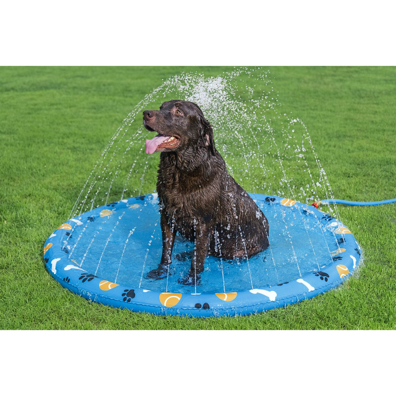 Bestway &pi;&alpha;&iota;&delta;&iota;&kappa;&eta; &pi;&iota;&sigma;&iota;&nu;&alpha; &kappa;&alpha;&tau;&omicron;&iota;&kappa;&iota;&delta;&iota;&omega;&nu; fetchin fun 147cm - &mu;&pi;&lambda;&epsilon;, , medium-null