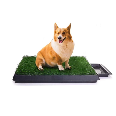 &Chi;&alpha;&lambda;ά&kappa;&iota; &tau;&omicron;&upsilon;&alpha;&lambda;έ&tau;&alpha;&sigmaf; &sigma;&kappa;ύ&lambda;&omicron;&upsilon; &mu;&epsilon; &tau;&epsilon;&chi;&nu;&eta;&tau;ό &chi;ό&rho;&tau;&omicron; &epsilon;&sigma;&omega;&tau;&epsilon;&rho;&iota;&kappa;&omicron;ύ &chi;ώ&rho;&omicron;&upsilon;, , medium