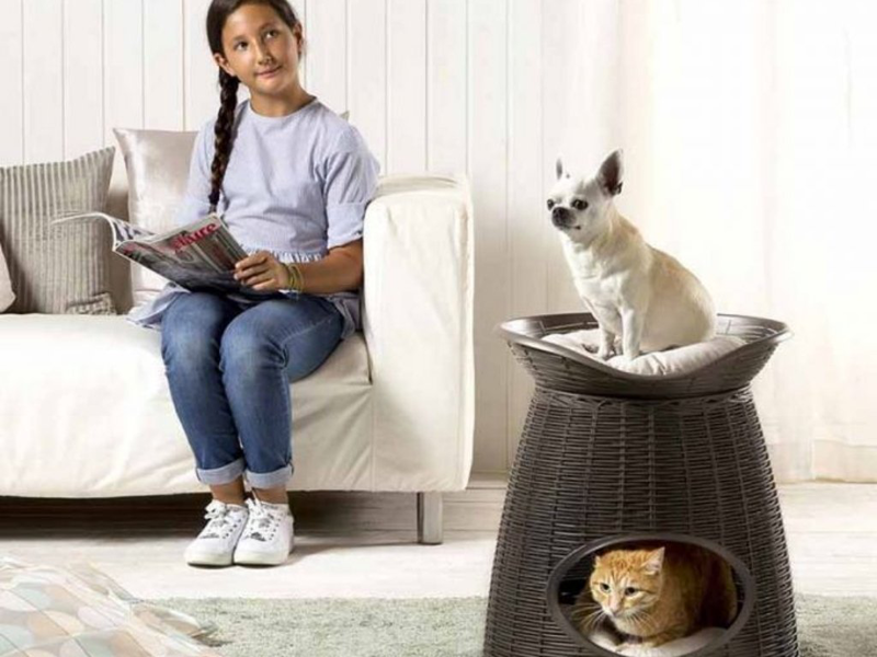 &Delta;&iota;&pi;&lambda;ό &kappa;&rho;&epsilon;&beta;&alpha;&tau;ά&kappa;&iota; &gamma;ά&tau;&alpha;&sigmaf;-&sigma;&kappa;&alpha;&mu;&pi;ό 52x50x55cm rattan + 2 &mu;&alpha;&xi;&iota;&lambda;ά&rho;&iota;&alpha; pasha &alpha;&nu;&theta;&rho;&alpha;&kappa;ί &ndash; bama italy, , medium-null