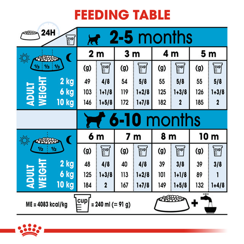 Royal canin mini puppy 2kg-null