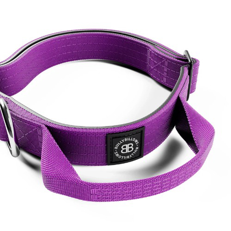 Bullybillows combat collar 2.5cm with handle rated clip black - xlarge, , medium-null