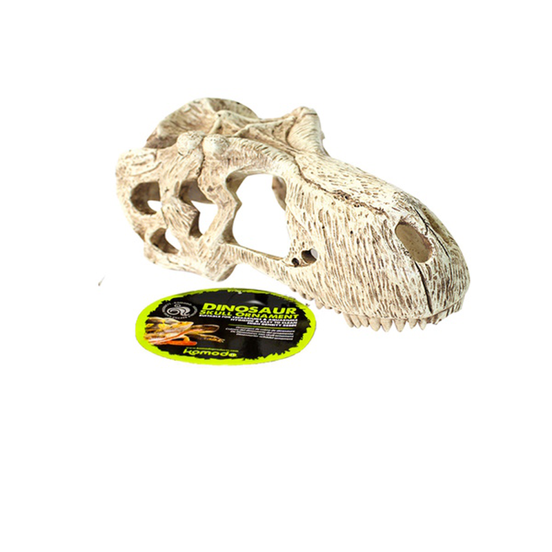 T-rex skull lg 17x8x9cm, , medium-null