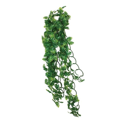 Kom hanging plant split philodendron 40cm, , medium