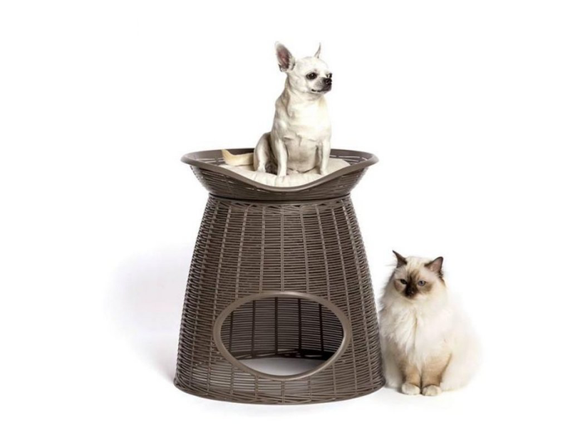 &Delta;&iota;&pi;&lambda;ό &kappa;&rho;&epsilon;&beta;&alpha;&tau;ά&kappa;&iota; &gamma;ά&tau;&alpha;&sigmaf;-&sigma;&kappa;&alpha;&mu;&pi;ό 52x50x55cm rattan + 2 &mu;&alpha;&xi;&iota;&lambda;ά&rho;&iota;&alpha; pasha &gamma;&kappa;&rho;ί-&kappa;&alpha;&phi;έ &ndash; bama italy, , medium-null