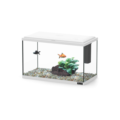 Aquatlantis explorer lisbon 40 col025 white, , medium