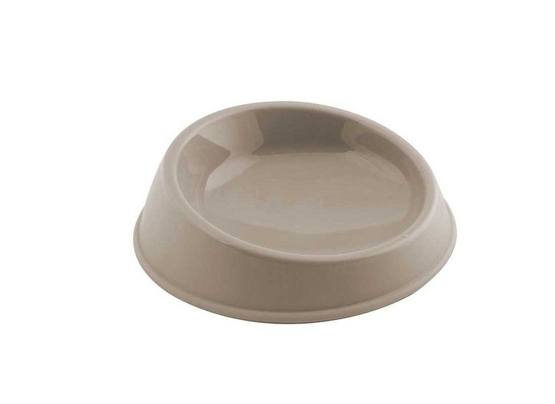 Whisker-friendly bowl for cat-null