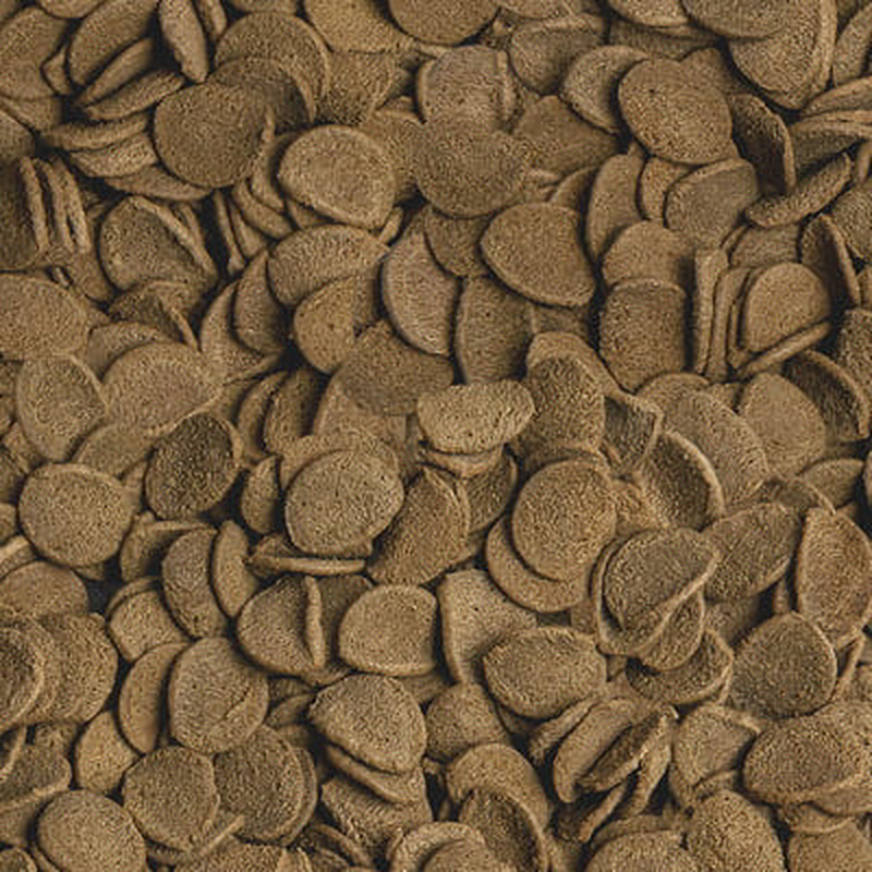 Sera vipachips wafers -&beta;&alpha;&sigma;&iota;&kappa;&eta; &tau;&rho;&omicron;&phi;&eta; &gamma;&iota;&alpha; &delta;&iota;&alpha;&kappa;&omicron;&sigma;&mu;&eta;&tau;&iota;&kappa;&alpha; &psi;&alpha;&rho;&iota;&alpha; 100ml-null