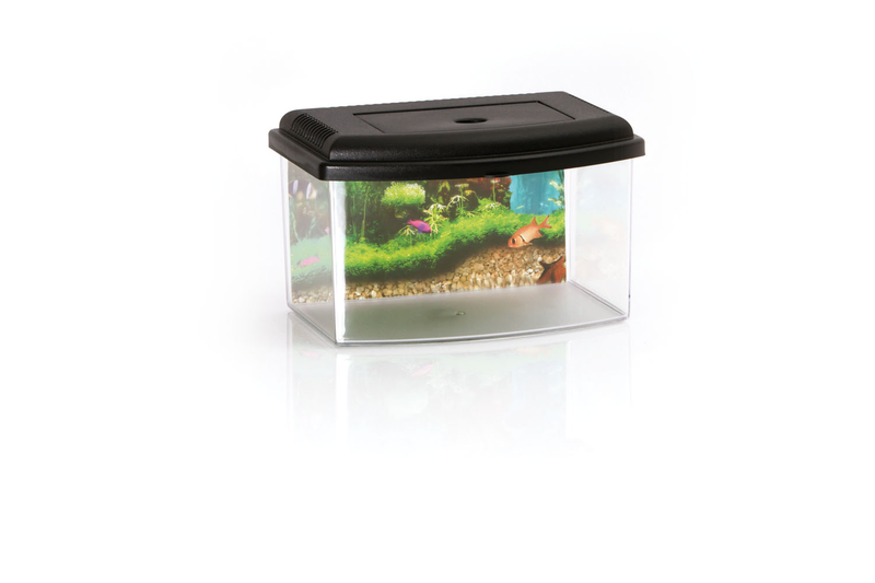 Aquarium with lid and handle 28x20xh17cm - 5.50L-null