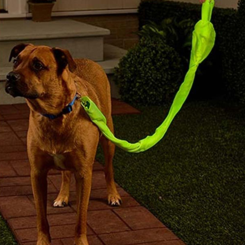 Glow n go &alpha;&nu;&tau;&alpha;&nu;&alpha;&kappa;&lambda;&alpha;&sigma;&tau;&iota;&kappa;ό &lambda;&omicron;&upsilon;&rho;ί &gamma;&iota;&alpha; &sigma;&kappa;ύ&lambda;&omicron;&upsilon;&sigmaf; &mu;&epsilon; &theta;ή&kappa;&eta; &kappa;&alpha;&iota; &kappa;&omicron;&lambda;ά&rho;&omicron; &sigma;&epsilon; &phi;&omega;&sigma;&phi;&omicron;&rho;&iota;&zeta;έ &chi;&rho;ώ&mu;&alpha;, , medium-null