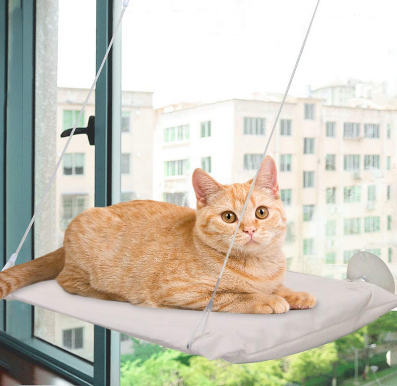 Afp classic comfort - window lounge, , medium-null