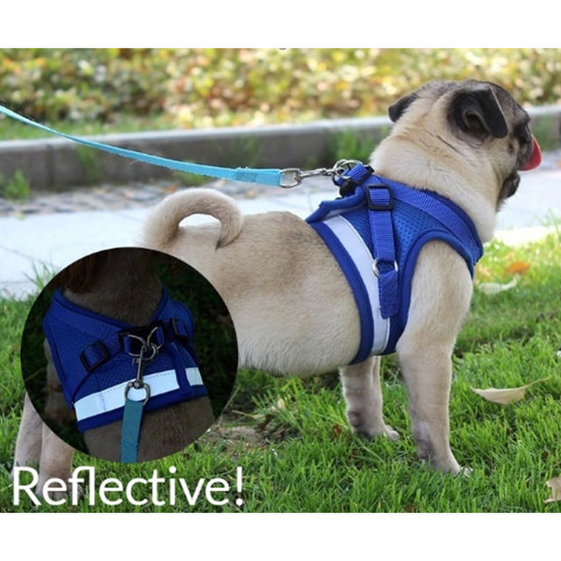 Ps reflect harness w&iota;&tau;&eta; leash 120cm-null