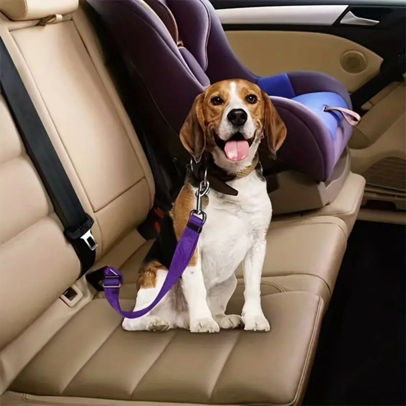 Product image: Nunbell pet ζώνη ασφαλείας αυτοκινήτου για σκύλο, , medium-null