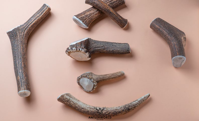 Product image: Antlerworld deer whole antler dog chew-null