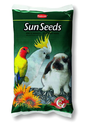Sunseeds sunflower medium 500g, , medium