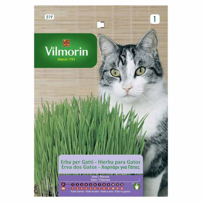 Vilmorin grass for cats 20gr, , medium