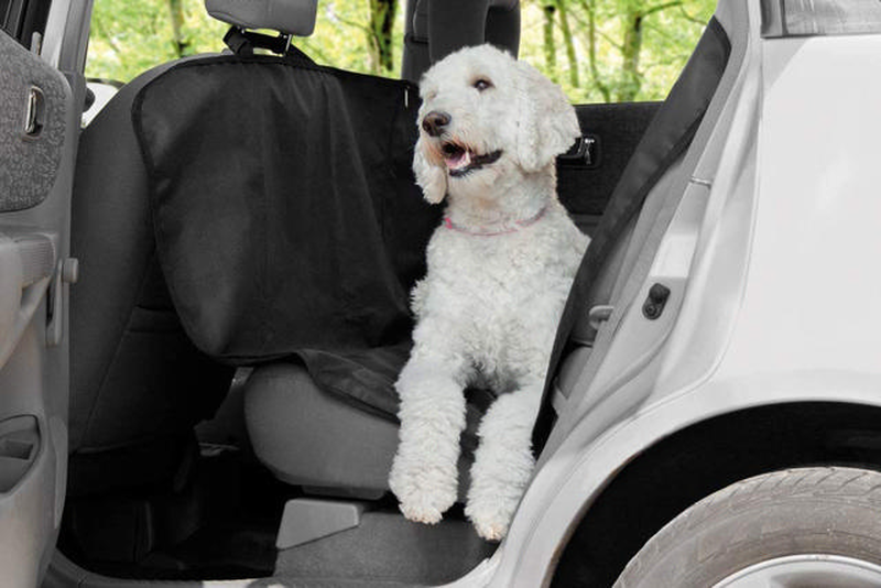 Dogs collection car seat protection cover 135x145cm-null