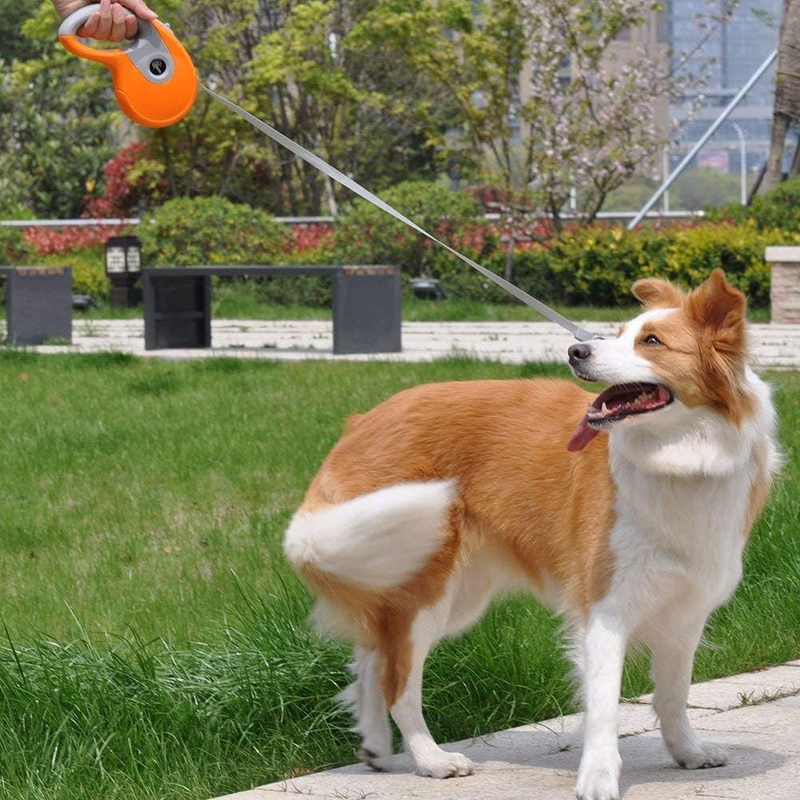 Automatic retractable dog leash 5m 40kg-null