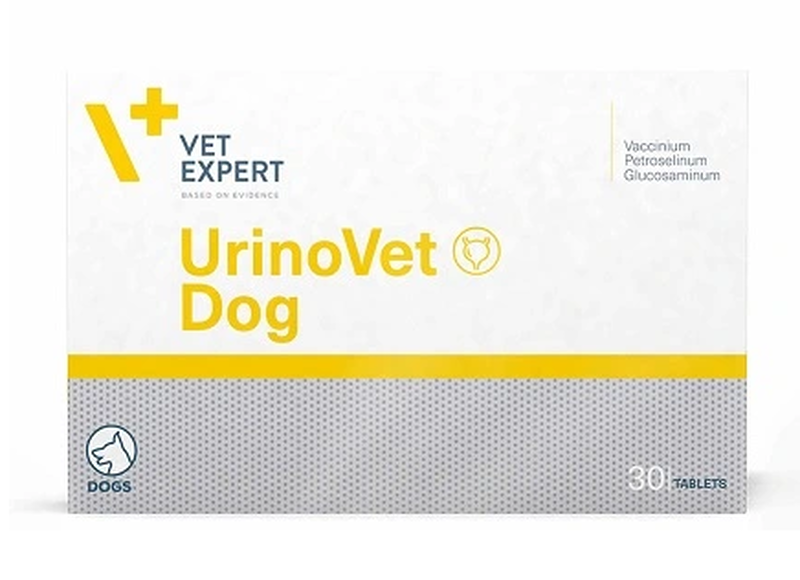 Urino vet dog-null