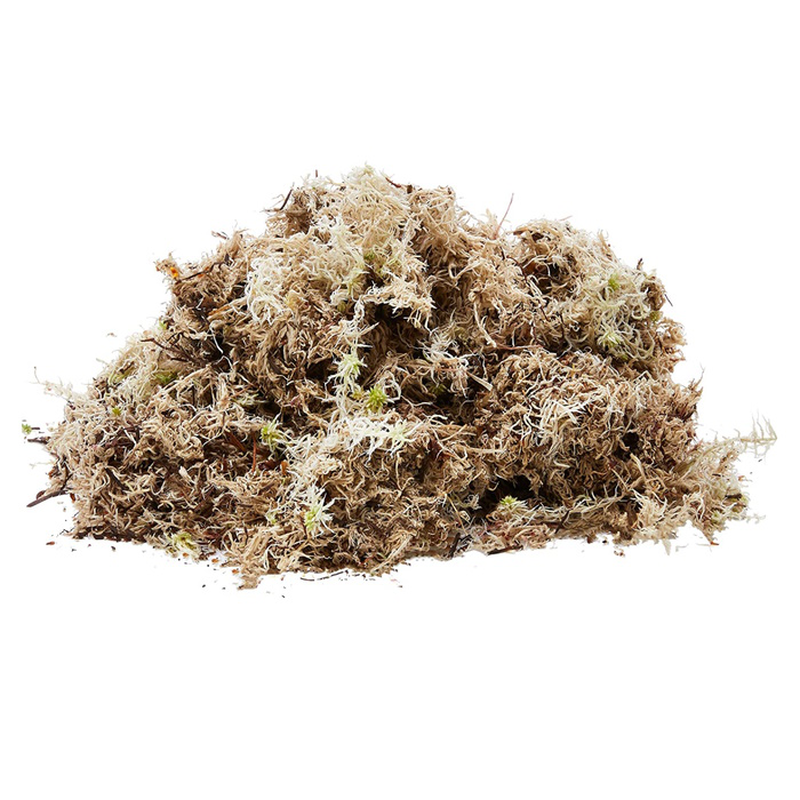 Habitat moss compact brick 20x10.5x1.5cm, , medium-null