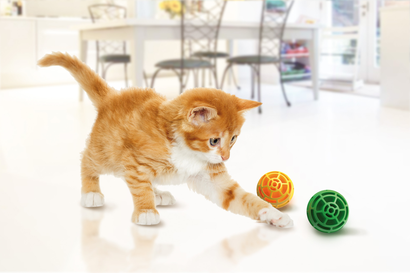 Georplast heavy plastic ball for pets - assorted colors, , medium-null