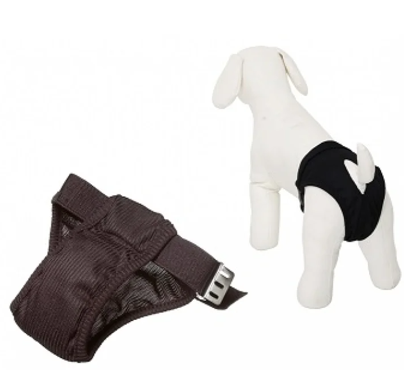 Product image: Camon click & clean hygienic pants - 10gr-null