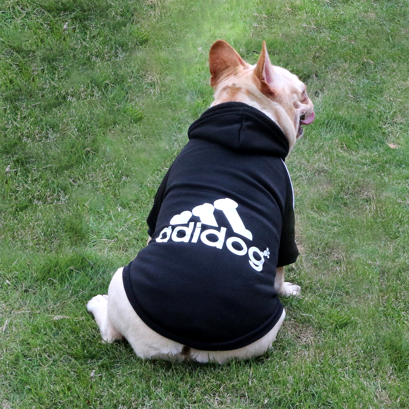 Adidog sport hoodie for dogs-null