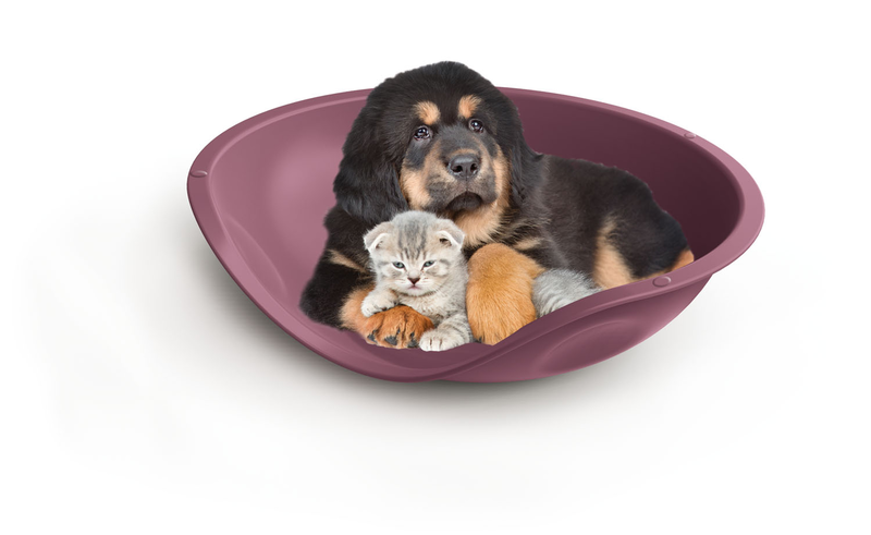 Georplast modern design bed for animals-null