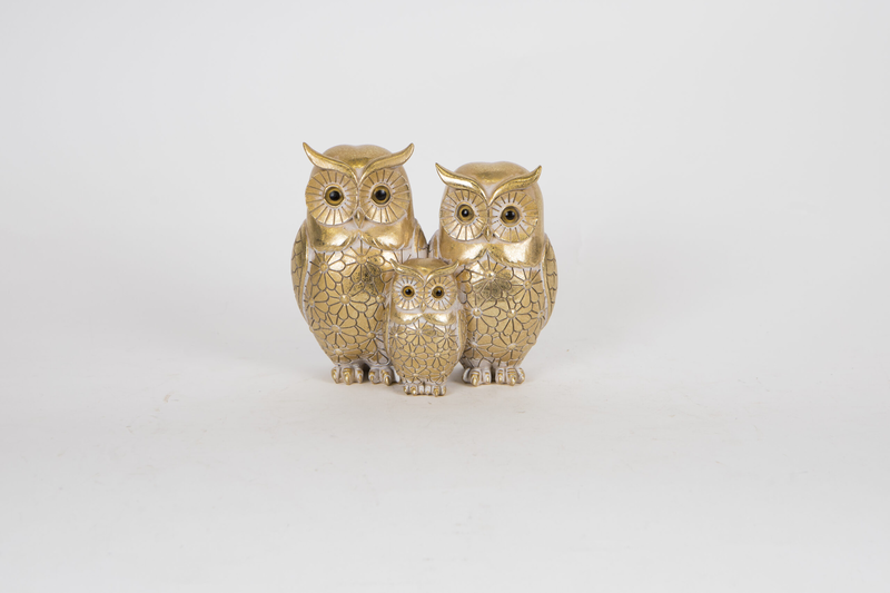 Owls gold, , medium-null