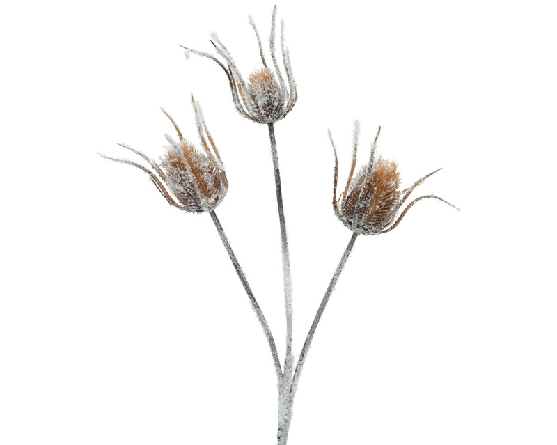 Flower white, , medium-null