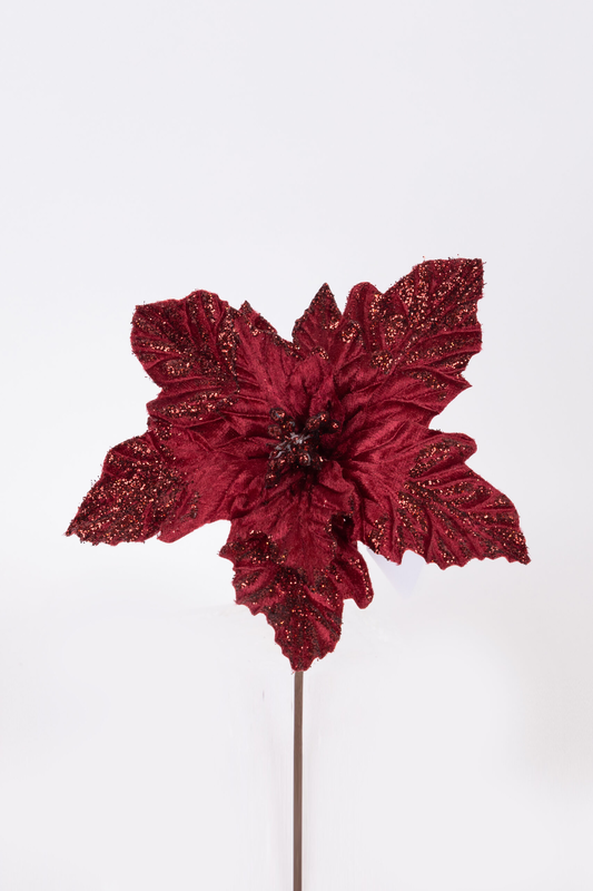 Poinsettia  burgundy with gold anthers, , medium-null
