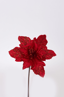 Poinsettia  red with gold anthers, , medium