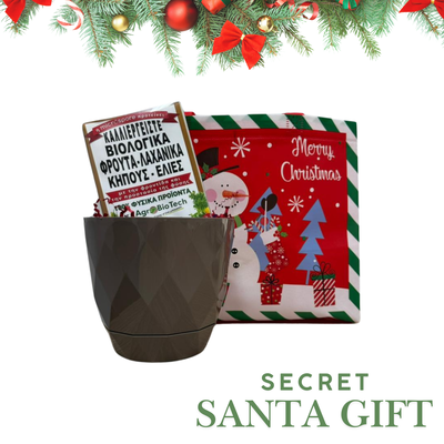 Secret santa gift, , medium