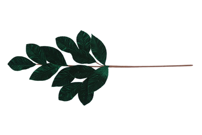 Branch with green leaves h.73cm, , medium
