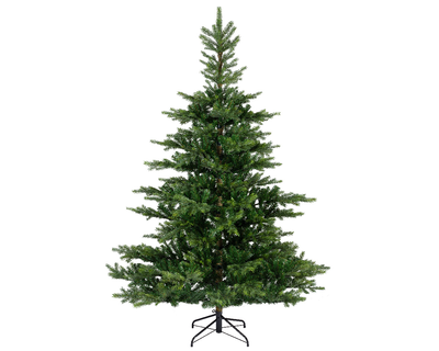 Grandis fir green tree h210cm, , medium