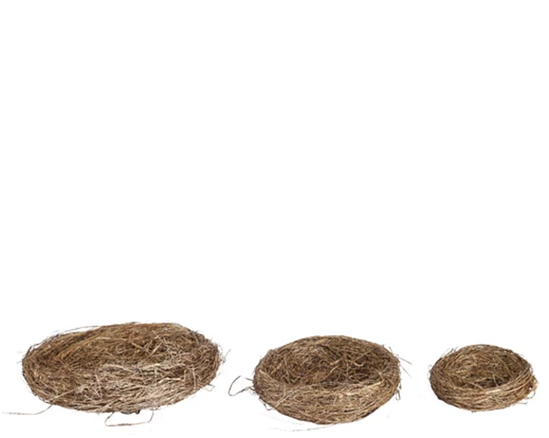 Nest grass, , medium-null