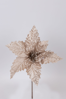 Poinsettia  velvet champagne, , medium