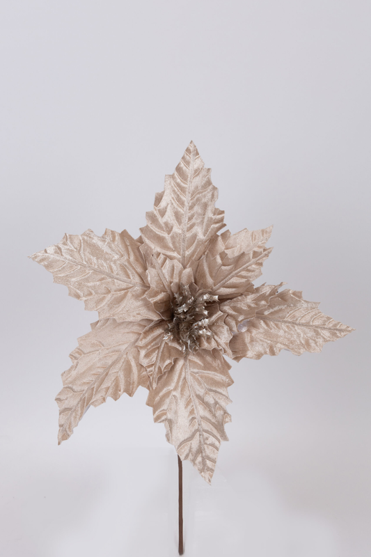 Poinsettia  velvet champagne, , medium-null