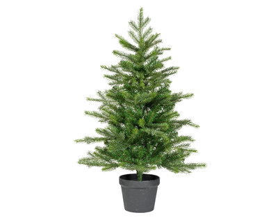 Grandis green mini tree in pot h90cm, , medium