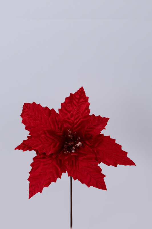 Poinsettia  velvet red, , medium-null